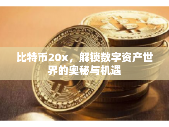 比特币20x，解锁数字资产世界的奥秘与机遇