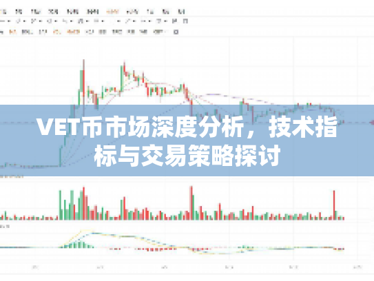 VET币市场深度分析，技术指标与交易策略探讨