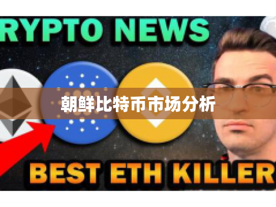朝鲜比特币市场分析