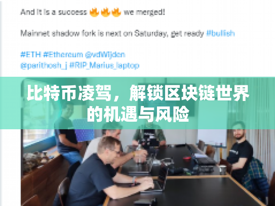 比特币凌驾，解锁区块链世界的机遇与风险