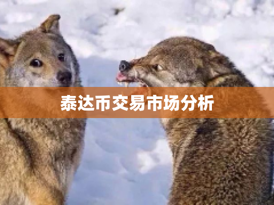 泰达币交易市场分析