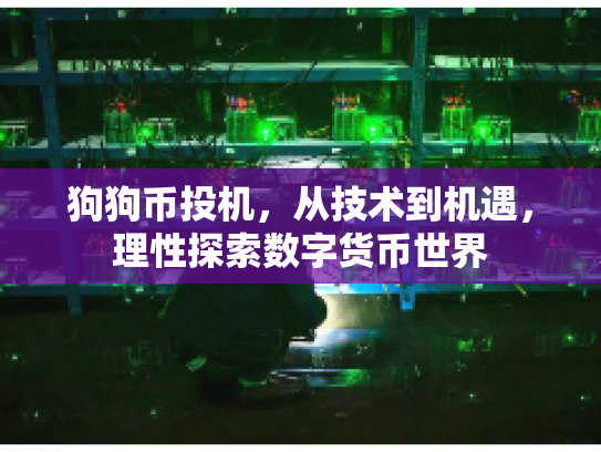 狗狗币投机，从技术到机遇，理性探索数字货币世界