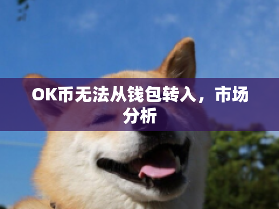 OK币无法从钱包转入，市场分析