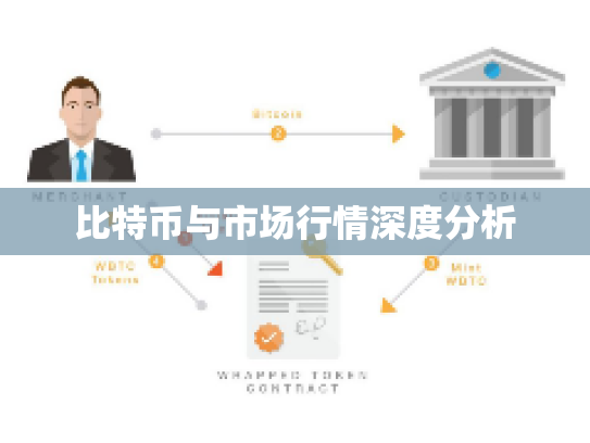 比特币与市场行情深度分析