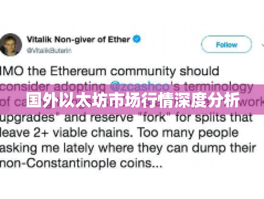 国外以太坊市场行情深度分析