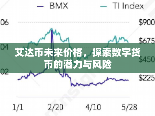 艾达币未来价格，探索数字货币的潜力与风险