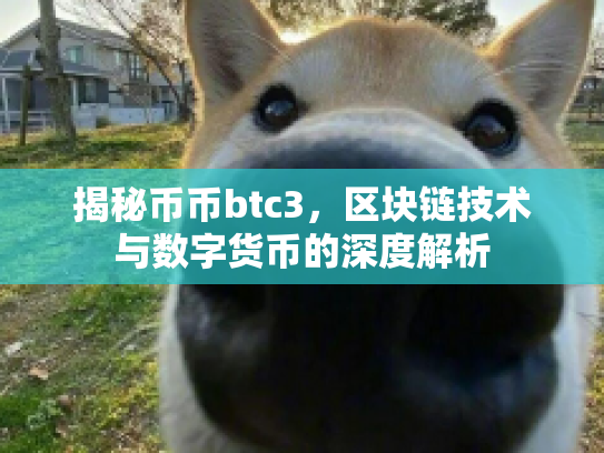揭秘币币btc3，区块链技术与数字货币的深度解析