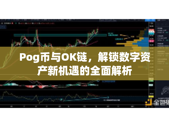 Pog币与OK链，解锁数字资产新机遇的全面解析