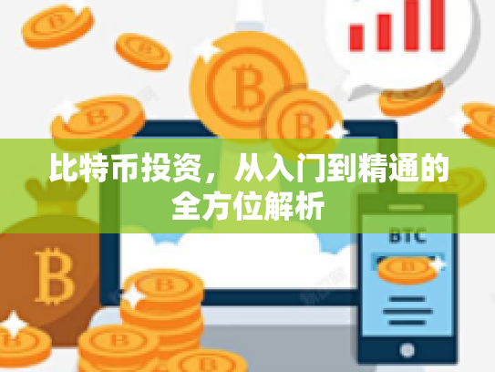 比特币投资，从入门到精通的全方位解析