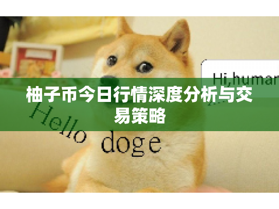 柚子币今日行情深度分析与交易策略