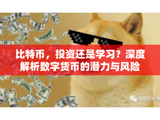 比特币，投资还是学习？深度解析数字货币的潜力与风险