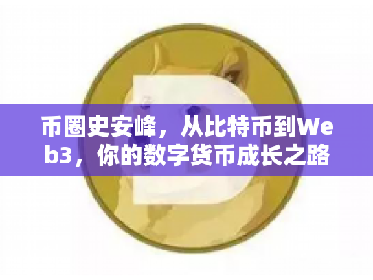 币圈史安峰，从比特币到Web3，你的数字货币成长之路
