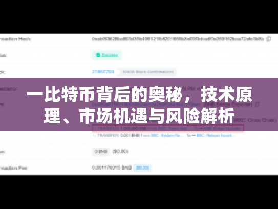 一比特币背后的奥秘，技术原理、市场机遇与风险解析