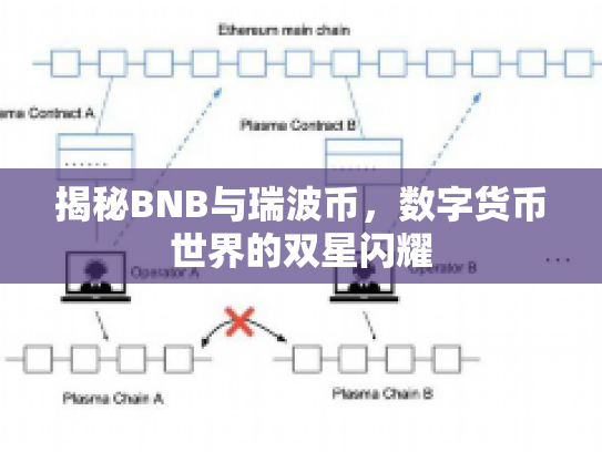 揭秘BNB与瑞波币，数字货币世界的双星闪耀