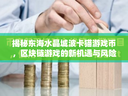揭秘东海水晶城波卡猫游戏币，区块链游戏的新机遇与风险
