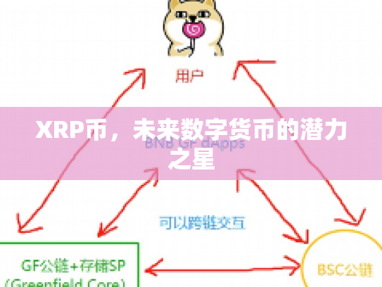 XRP币，未来数字货币的潜力之星