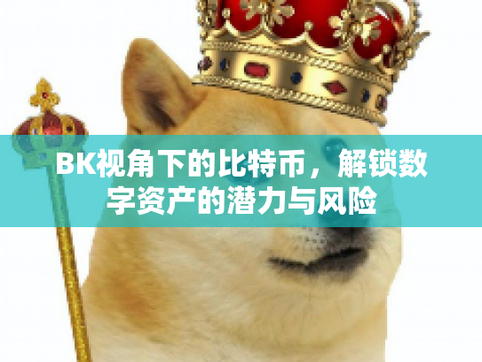 BK视角下的比特币，解锁数字资产的潜力与风险