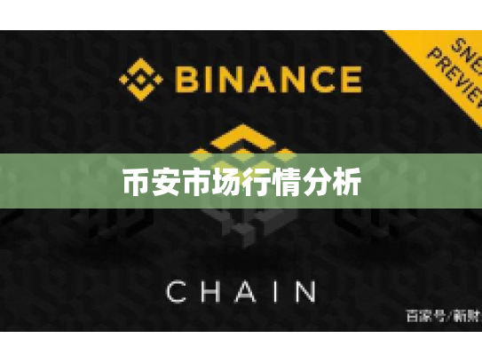 币安市场行情分析