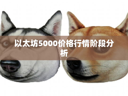 以太坊5000价格行情阶段分析