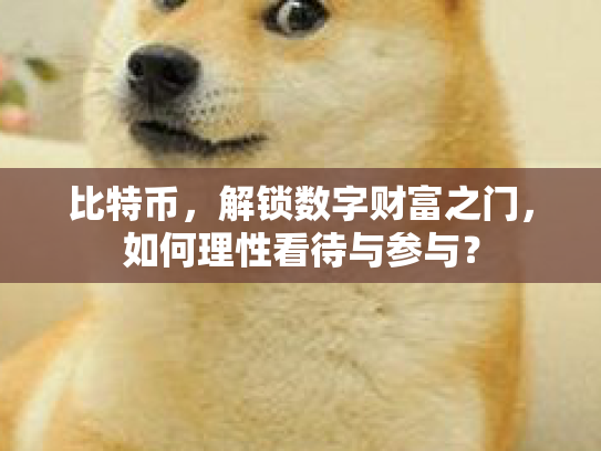 比特币，解锁数字财富之门，如何理性看待与参与？