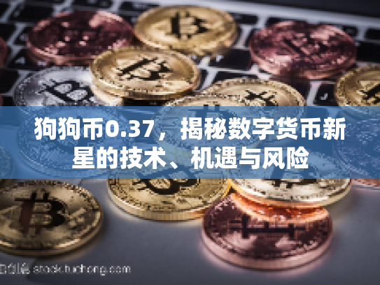 狗狗币0.37，揭秘数字货币新星的技术、机遇与风险
