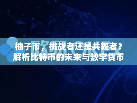 柚子币，挑战者还是共舞者？解析比特币的未来与数字货币的多元发展