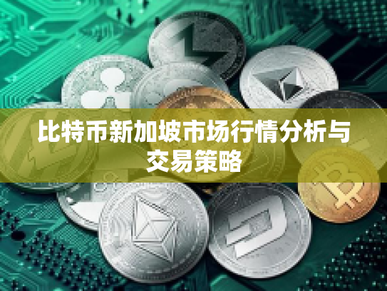 比特币新加坡市场行情分析与交易策略