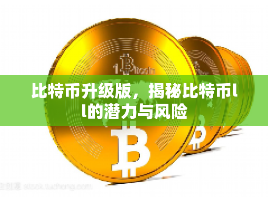 比特币升级版，揭秘比特币ll的潜力与风险