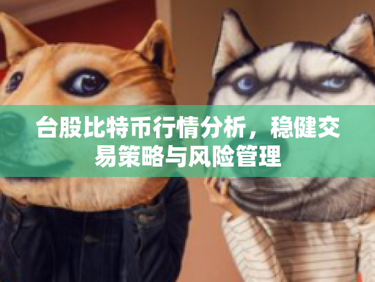 台股比特币行情分析，稳健交易策略与风险管理