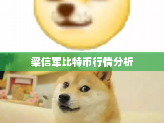 梁信军比特币行情分析