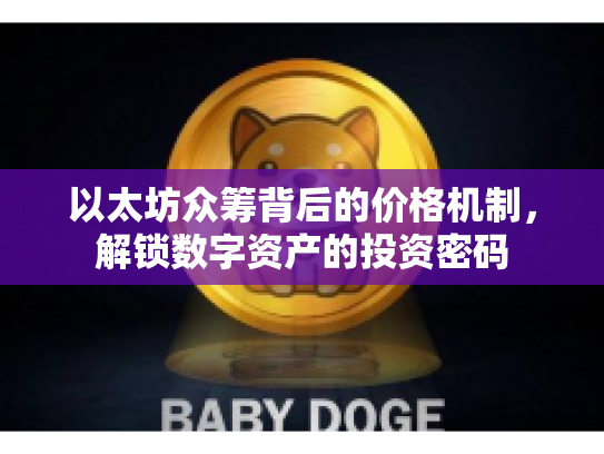 以太坊众筹背后的价格机制，解锁数字资产的投资密码