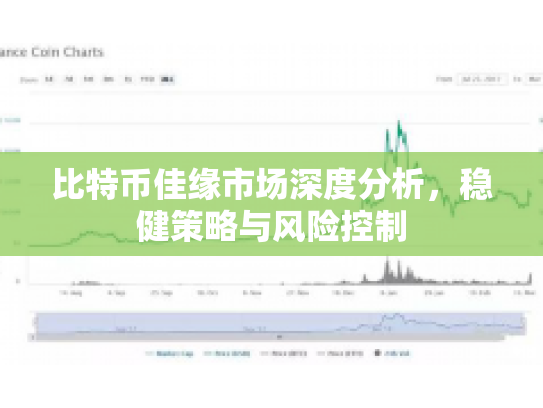 比特币佳缘市场深度分析，稳健策略与风险控制