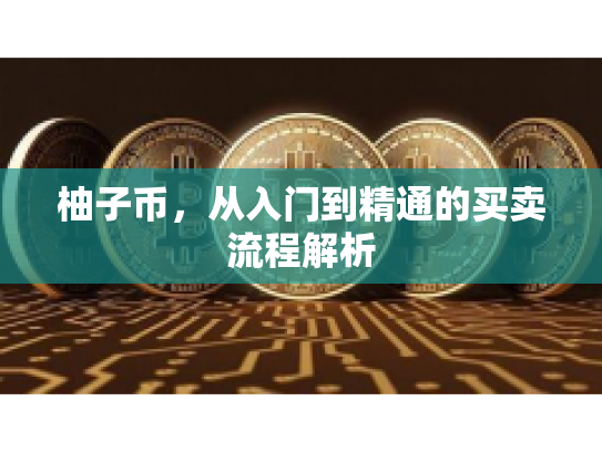柚子币，从入门到精通的买卖流程解析