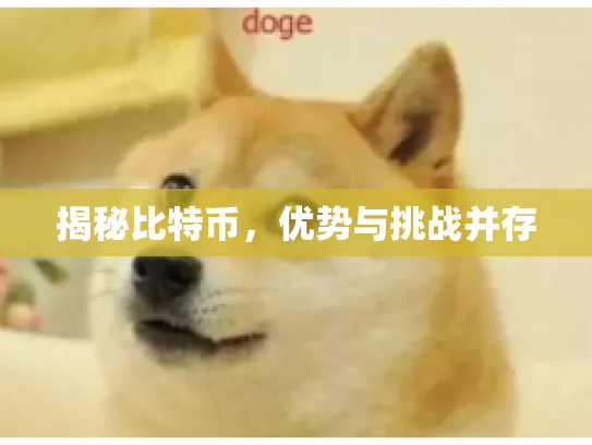 揭秘比特币，优势与挑战并存
