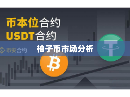 柚子币市场分析