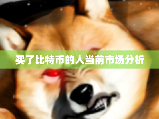 买了比特币的人当前市场分析