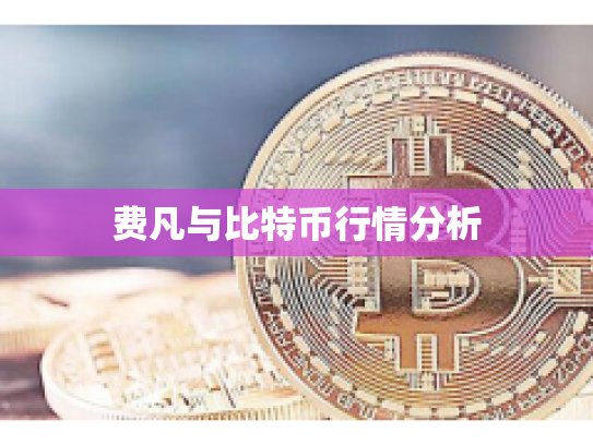 费凡与比特币行情分析