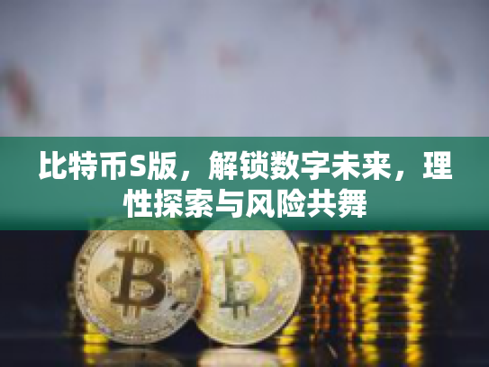 比特币S版，解锁数字未来，理性探索与风险共舞