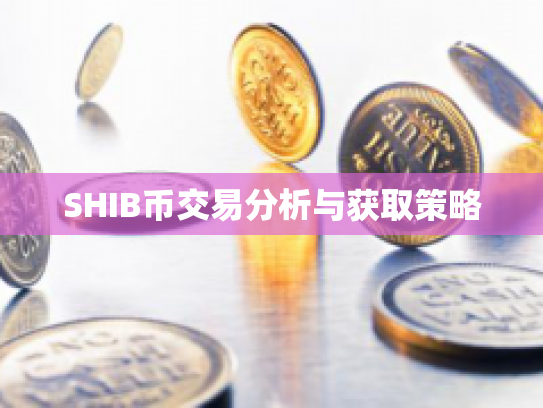 SHIB币交易分析与获取策略
