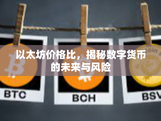 以太坊价格比，揭秘数字货币的未来与风险