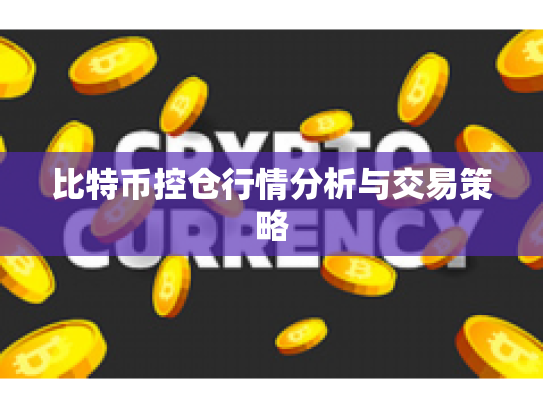 比特币控仓行情分析与交易策略