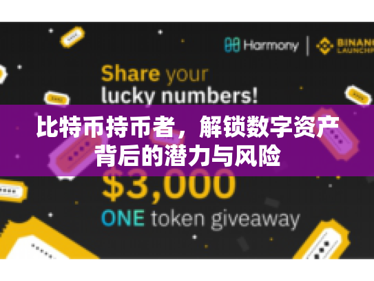 比特币持币者，解锁数字资产背后的潜力与风险