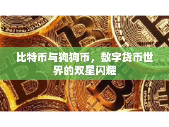 比特币与狗狗币，数字货币世界的双星闪耀