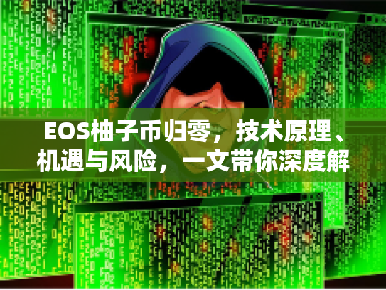 EOS柚子币归零，技术原理、机遇与风险，一文带你深度解析