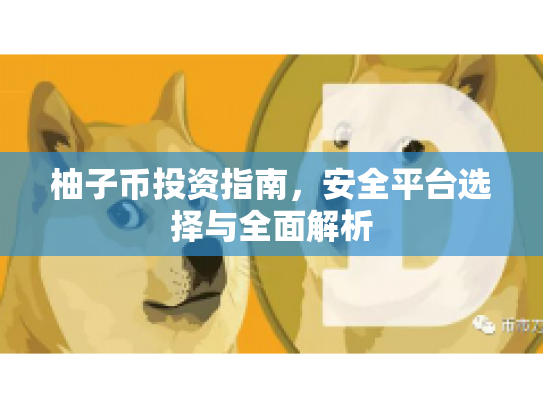 柚子币投资指南，安全平台选择与全面解析