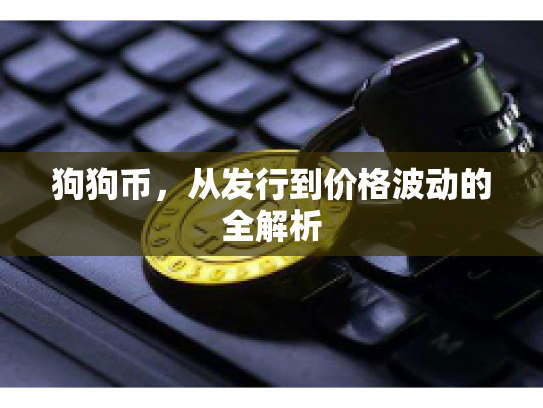 狗狗币，从发行到价格波动的全解析