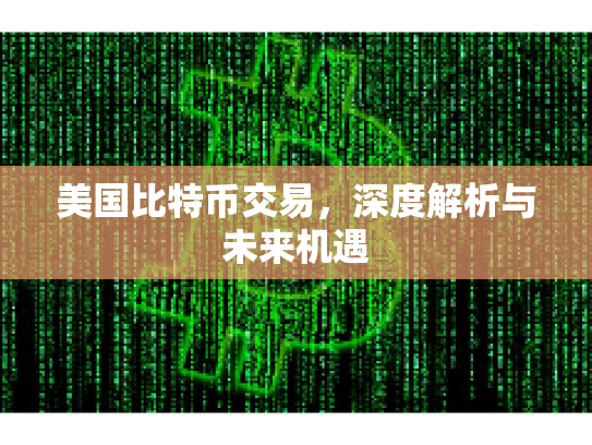 美国比特币交易，深度解析与未来机遇