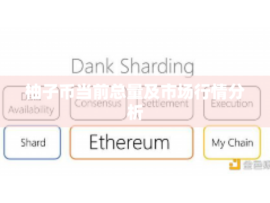 柚子币当前总量及市场行情分析