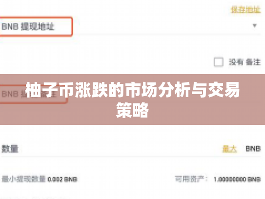 柚子币涨跌的市场分析与交易策略