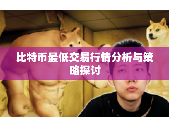 比特币最低交易行情分析与策略探讨